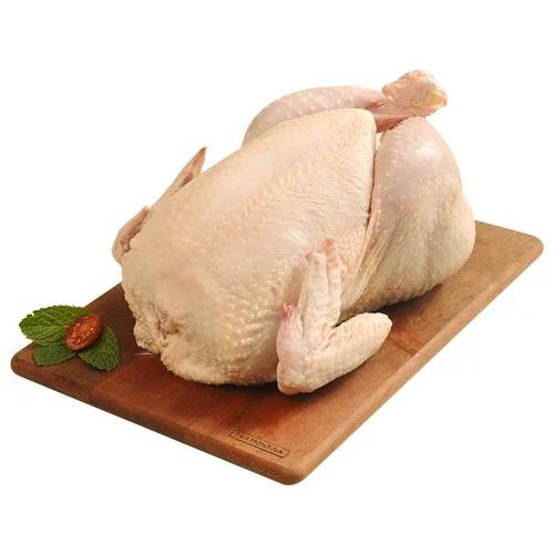 Imagem de destaque da Linha Aves Donau